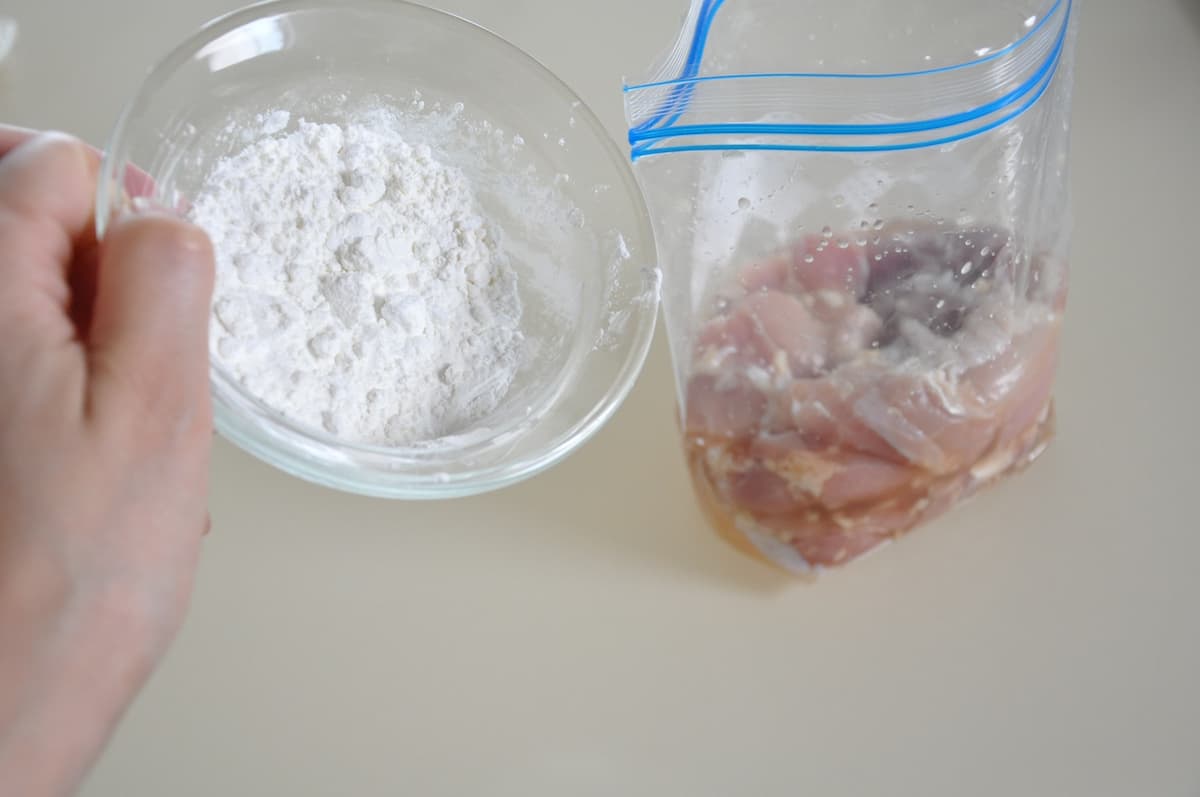 塩から揚げ