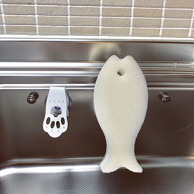 スポンジ置き場