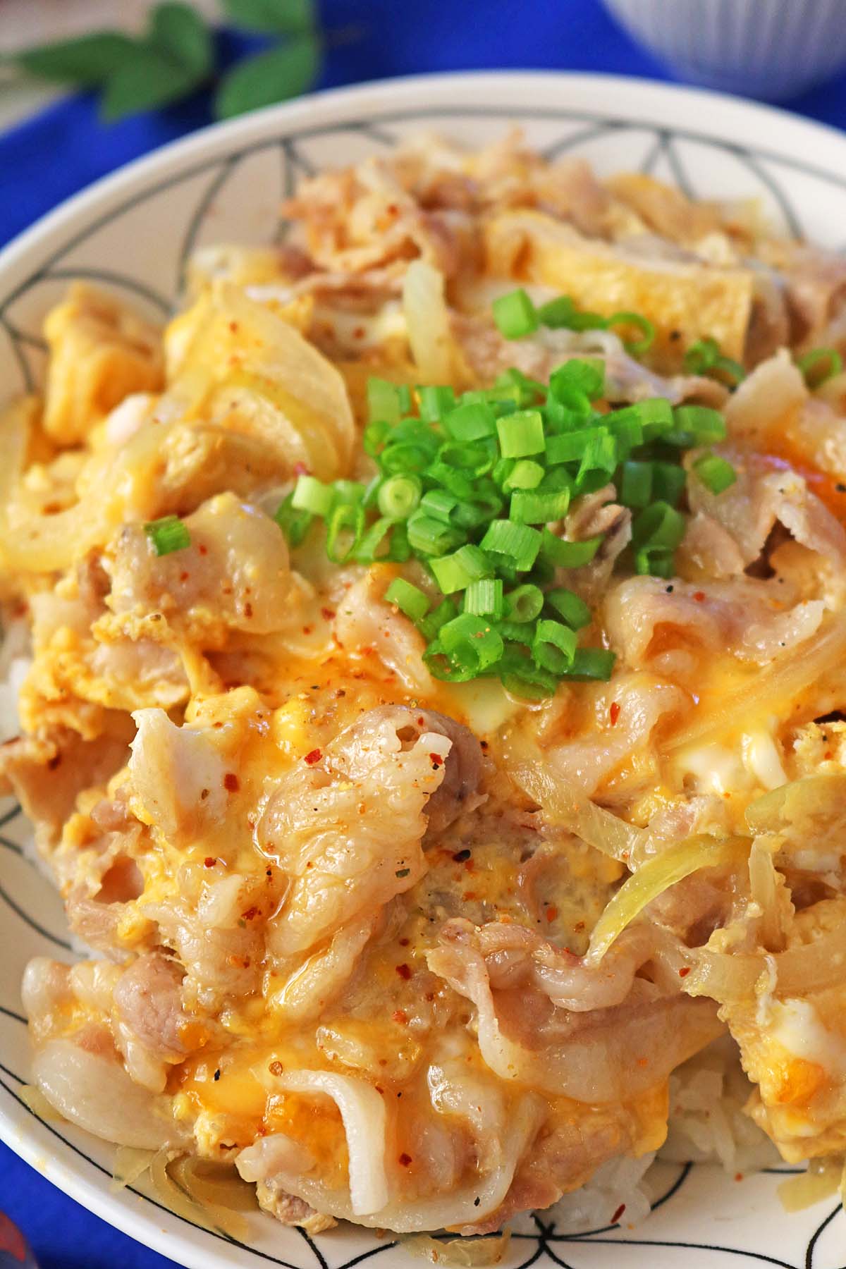 豚玉丼６