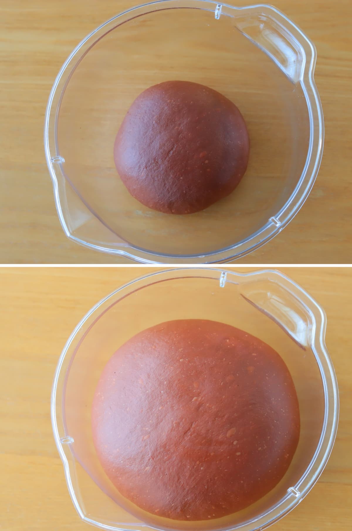 ココアスイートブール1次発酵
