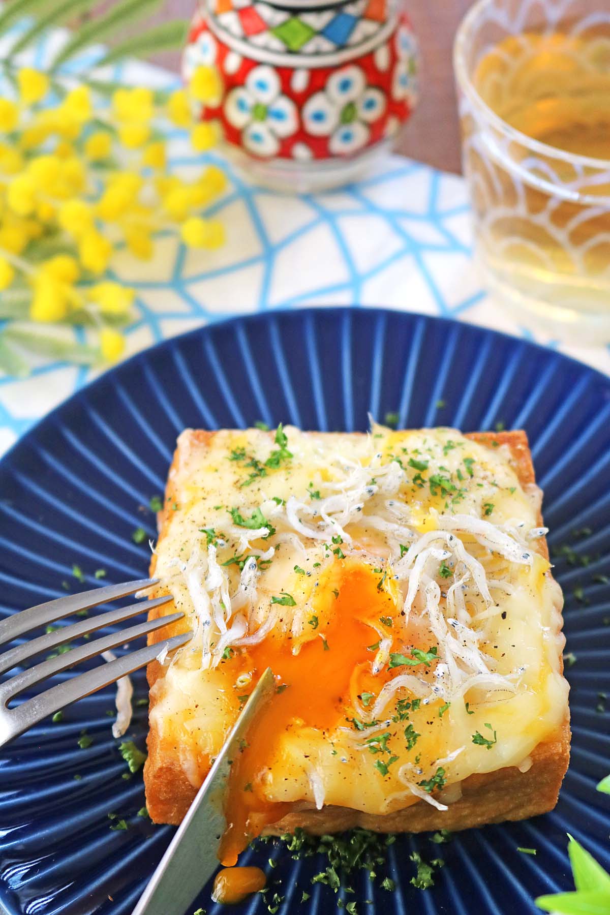 厚揚げしらすチーズ６