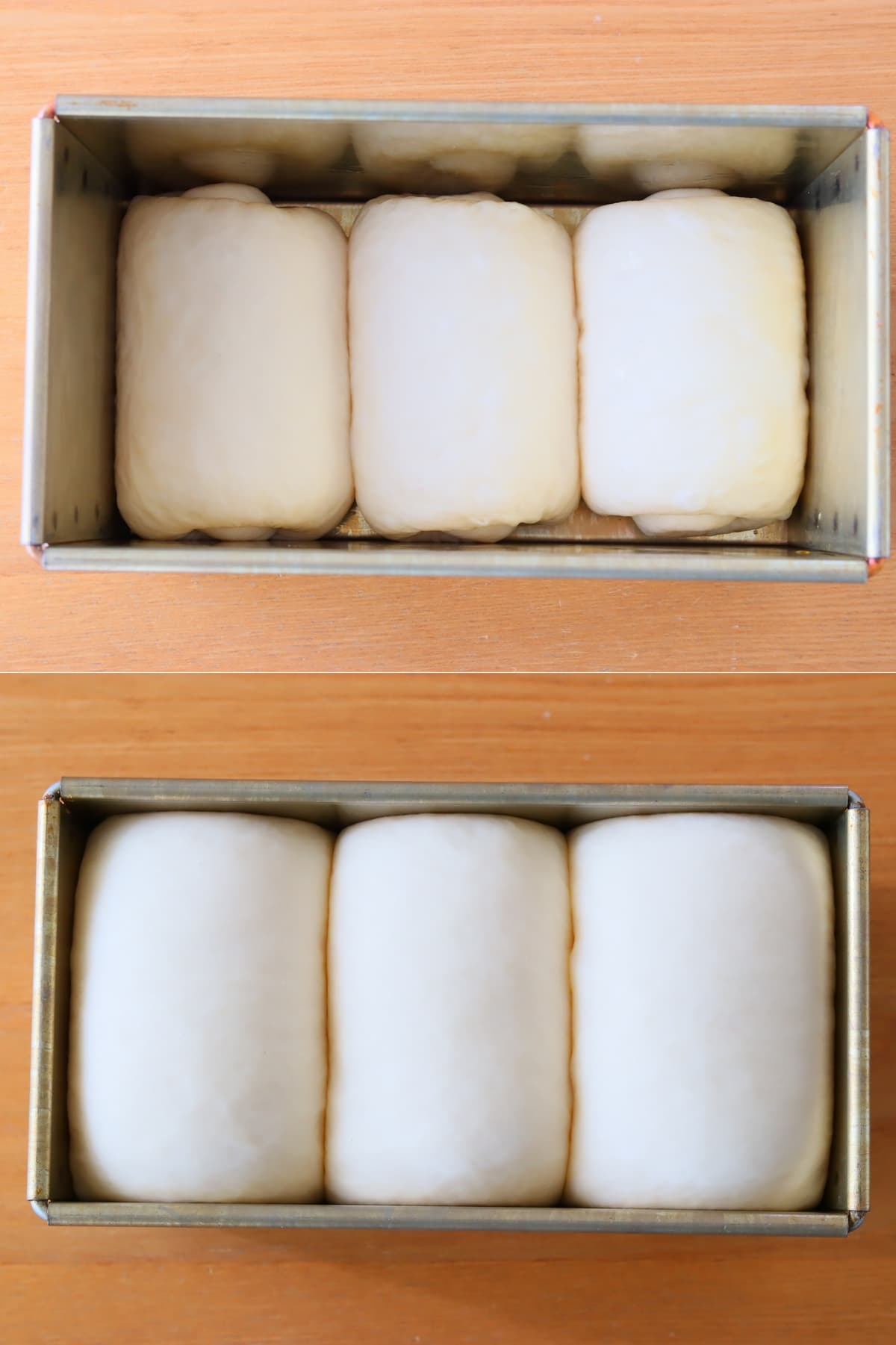 しっとり食パン2次発酵.