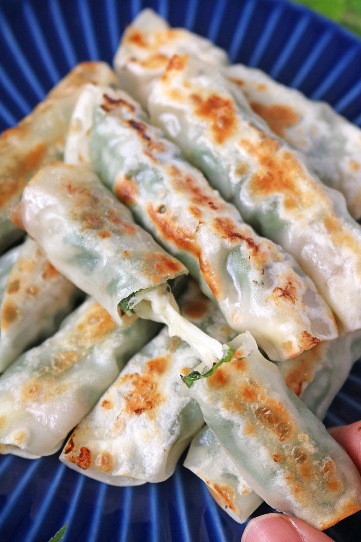 豚バラぐるぐる餃子８