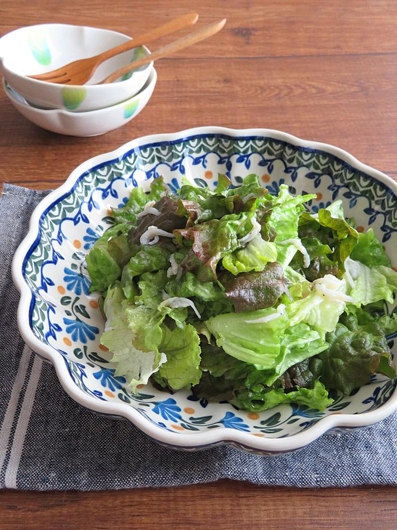 野菜がもりもり食べられる!「サニーレタス」のお手軽サラダ
