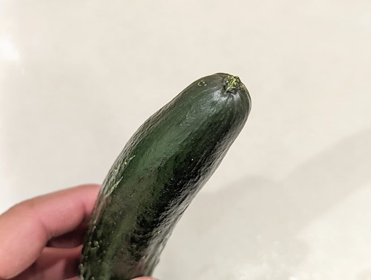 きゅうりは先端をチェック
