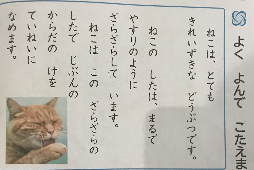 テストの写真