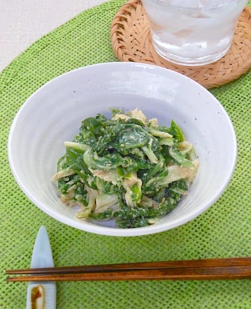 捨てずに活用！「白菜の外葉」をおいしく食べるアイデア5選