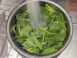 ほうれん草を水でよく洗う