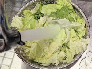 白菜はよく洗ってから冷凍保存