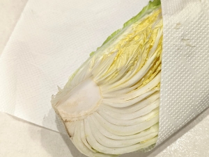白菜はペーパーに包んで冷蔵保存