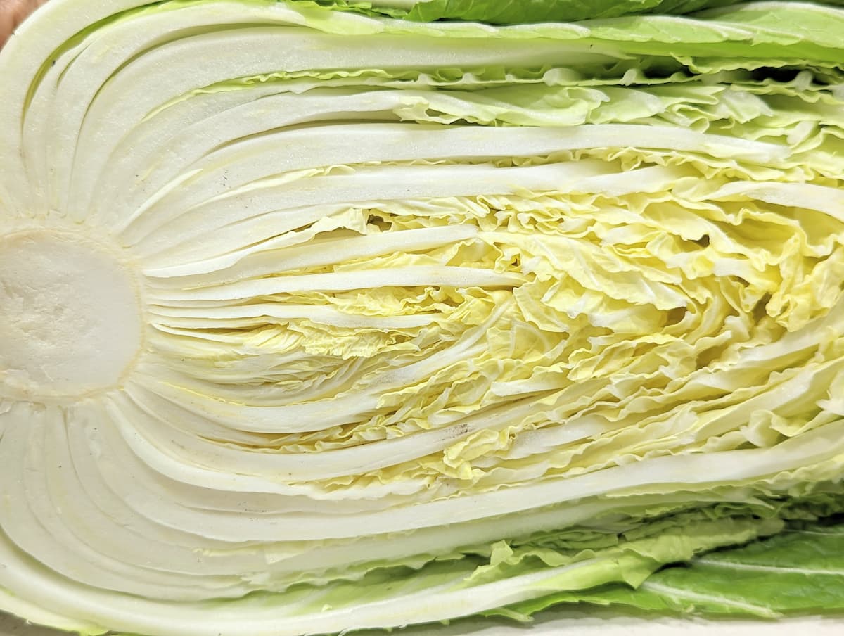 白菜はぎっちり詰まっているものを選ぶ
