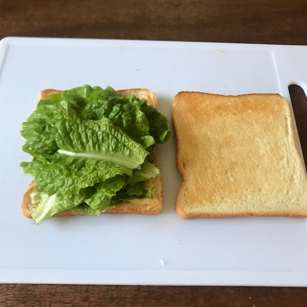 サンチュのせたところ