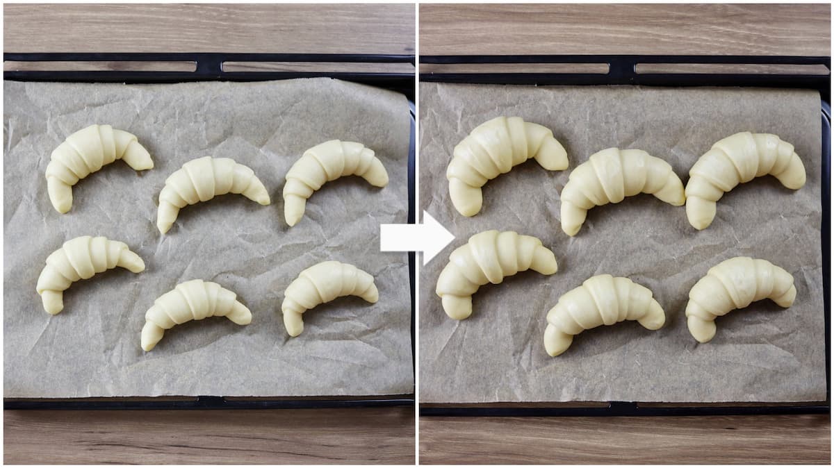 オイルで焼く簡単成型なリッチロールパンレシピ