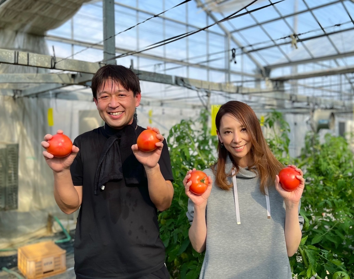 トマトの産地レポート