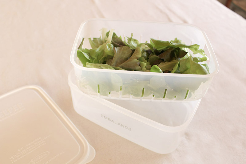 おいしさ長持ち！魔法のお野菜袋の新しい仲間「コンテナタイプ」登場