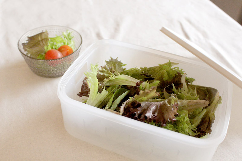 おいしさ長持ち！魔法のお野菜袋の新しい仲間「コンテナタイプ」登場