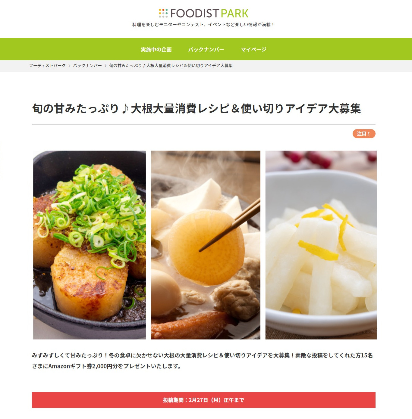 旬の甘みたっぷり♪大根大量消費レシピ＆使い切りアイデア大募集