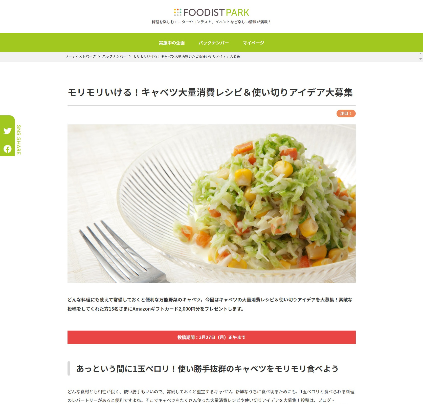 モリモリいける！キャベツ大量消費レシピ＆使い切りアイデア大募集