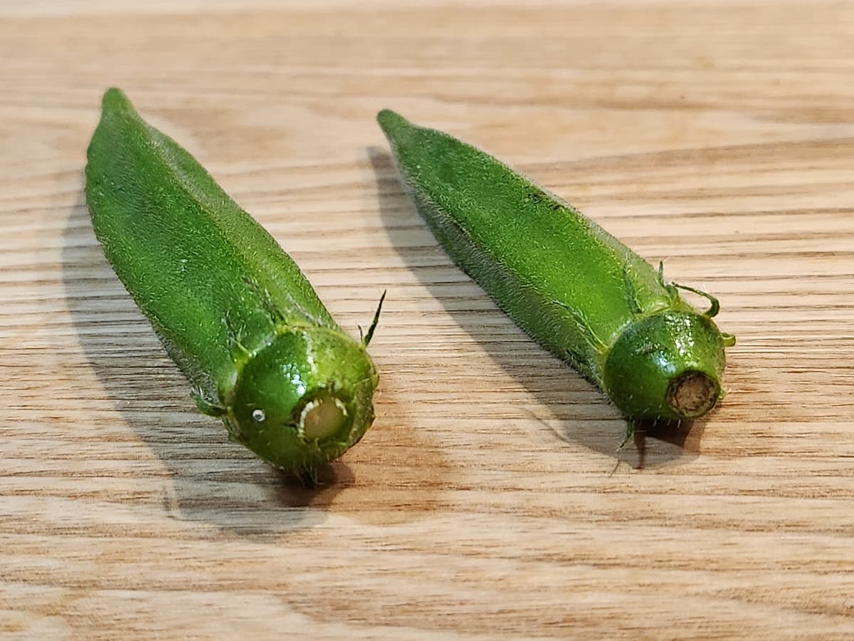 オクラのヘタに注目