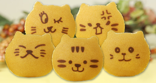 猫さんどら焼き「ドラねこ」5個入り／世田谷　文の菓（ふみのか）