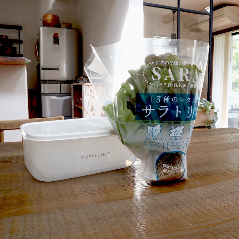 鮮度保持 レクタングルコンテナ XL 2100ml ザル付き