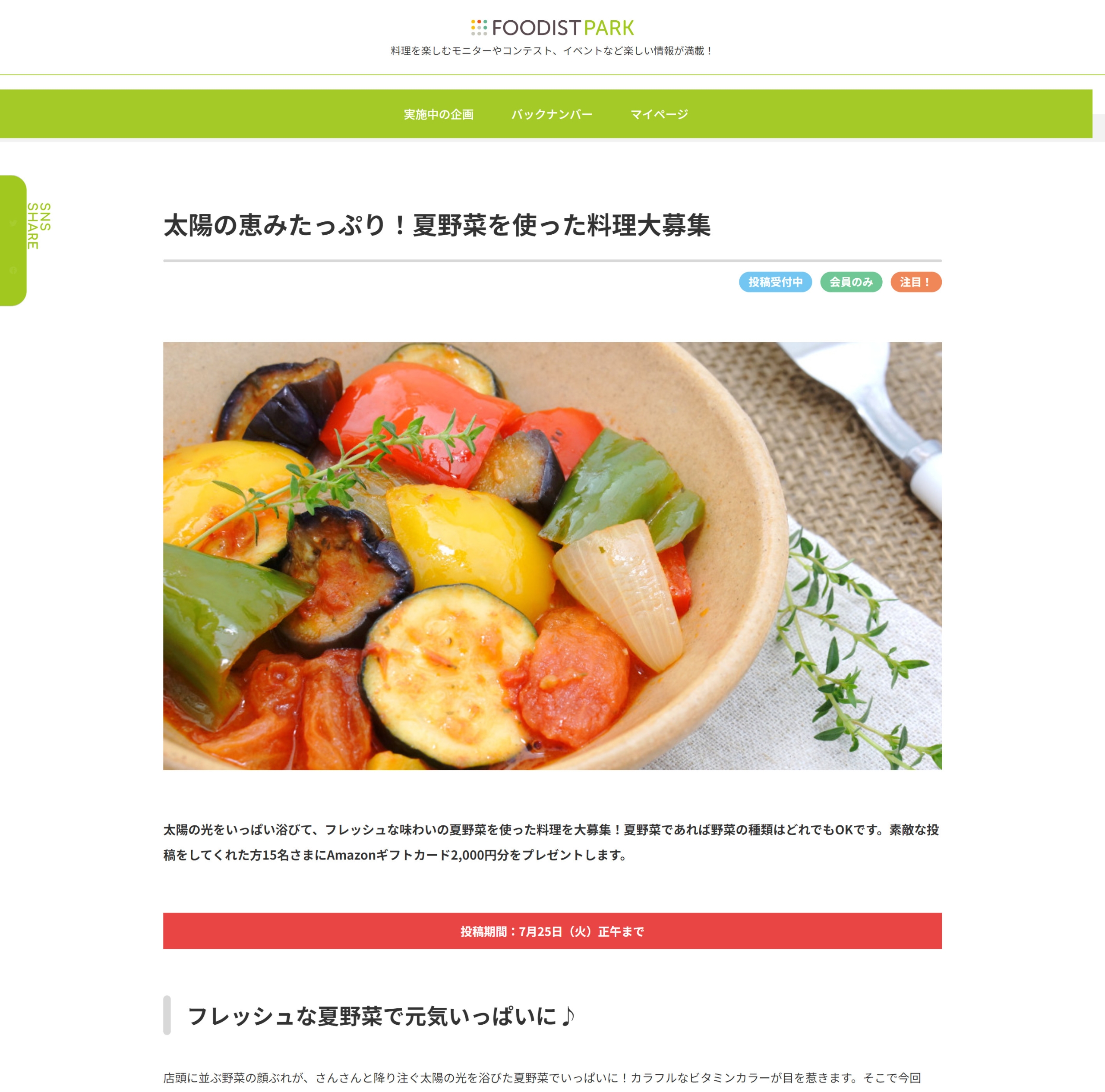 太陽の恵みたっぷり!夏野菜を使った料理大募集