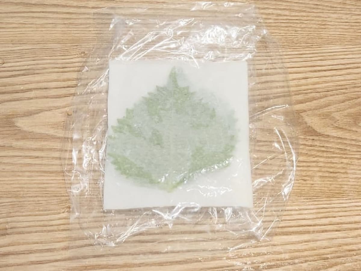 青じそを袋に入れる　青髪のテツ