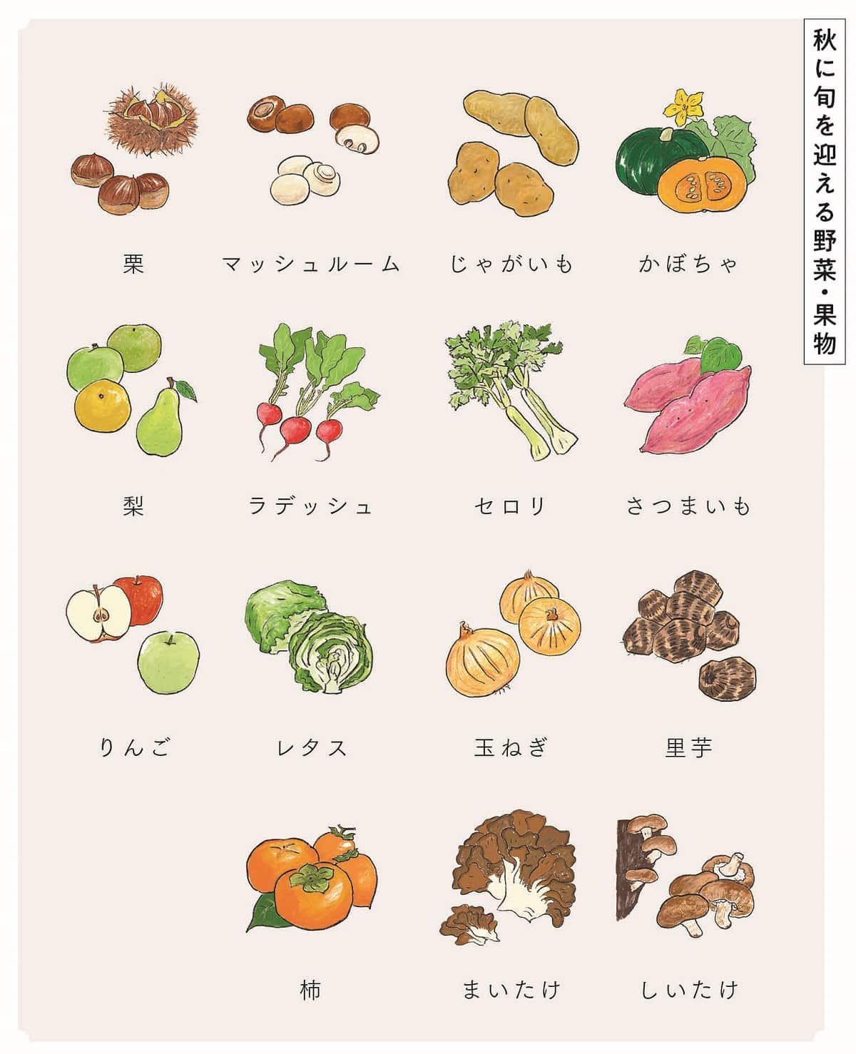秋が旬の食べ物一覧