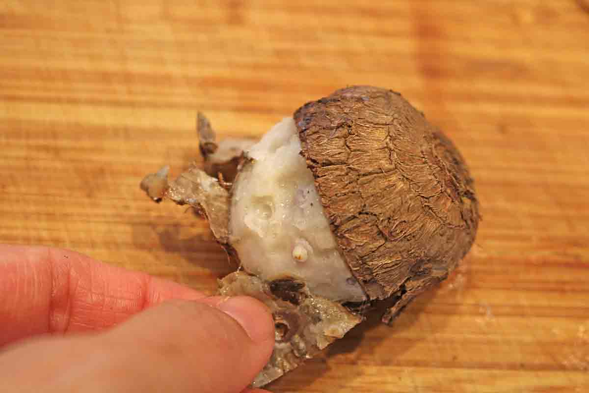 「甘辛ヤンニョム里芋」
