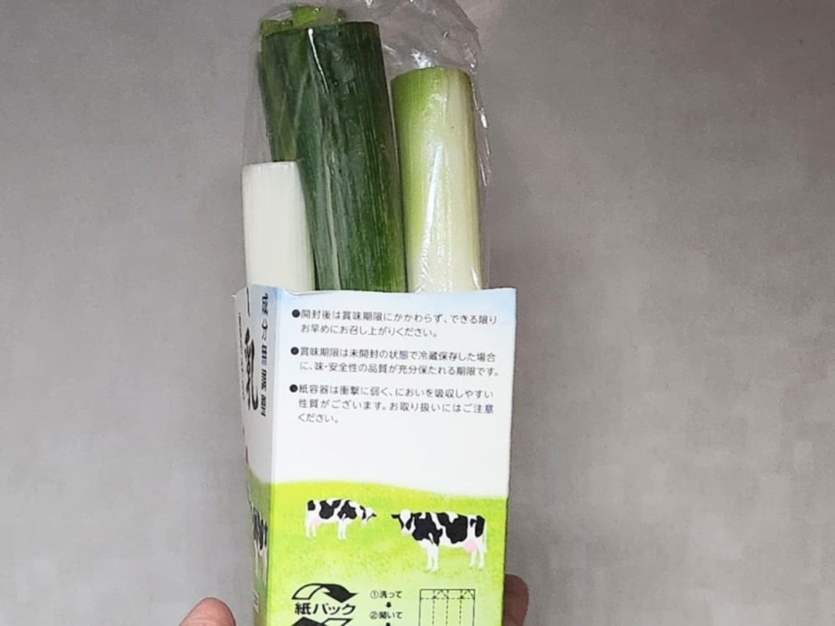 牛乳パックで長ネギをたてて保存　青髪のテツ