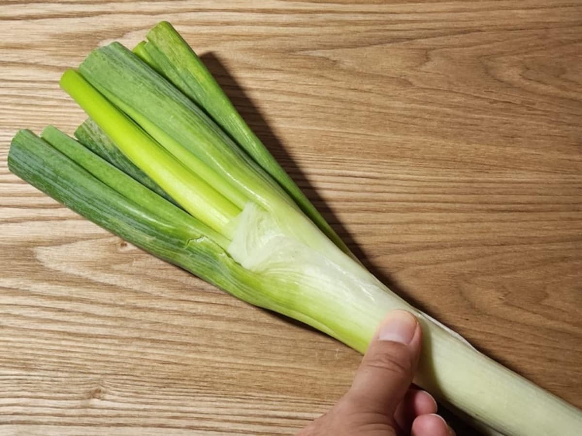 長ネギの白い部分を触ると弾力がある　青髪のテツ