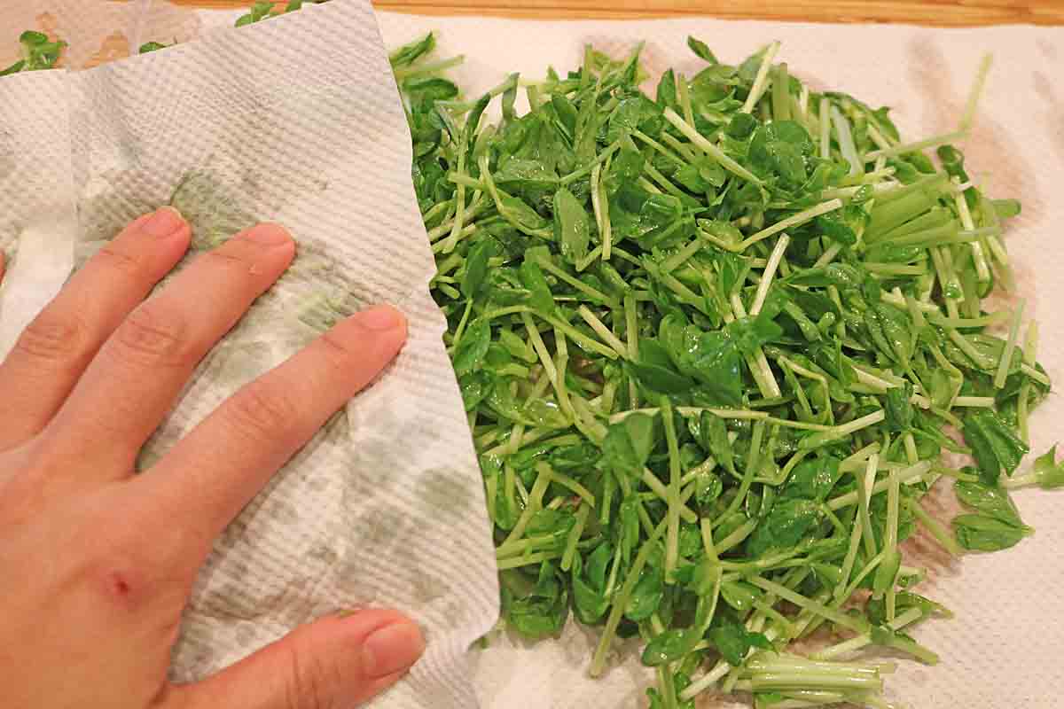 大根豆苗ツナサラダ４
