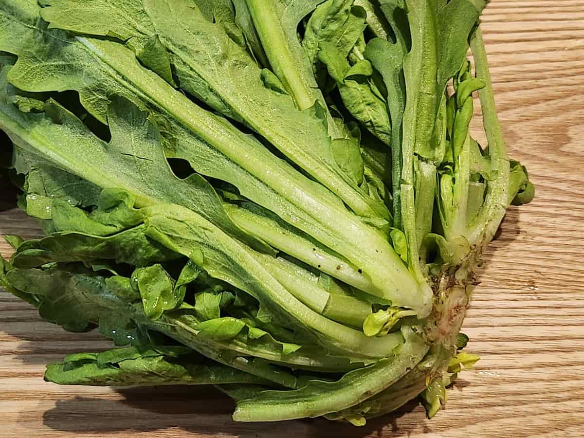 茎が太すぎたり長すぎないもの　青髪のテツ　春菊