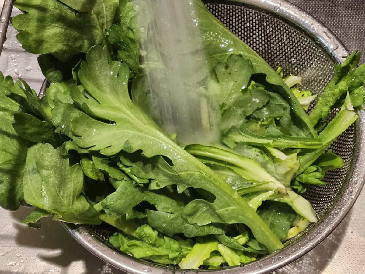 よく水洗いをする　青髪のテツ　春菊