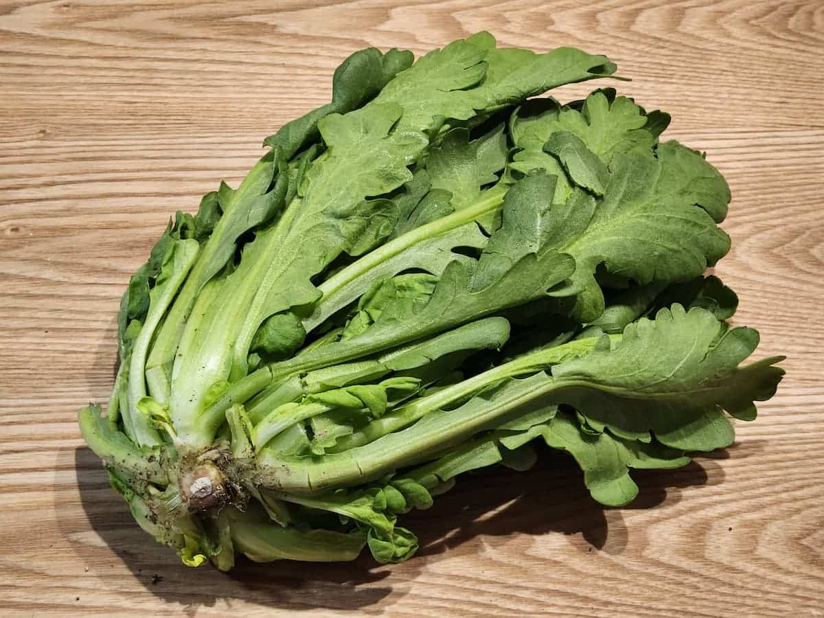 おいしい春菊の選び方　青髪のテツ