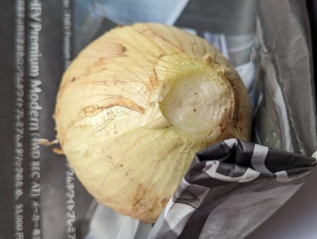 新玉ねぎをペーパーで包む