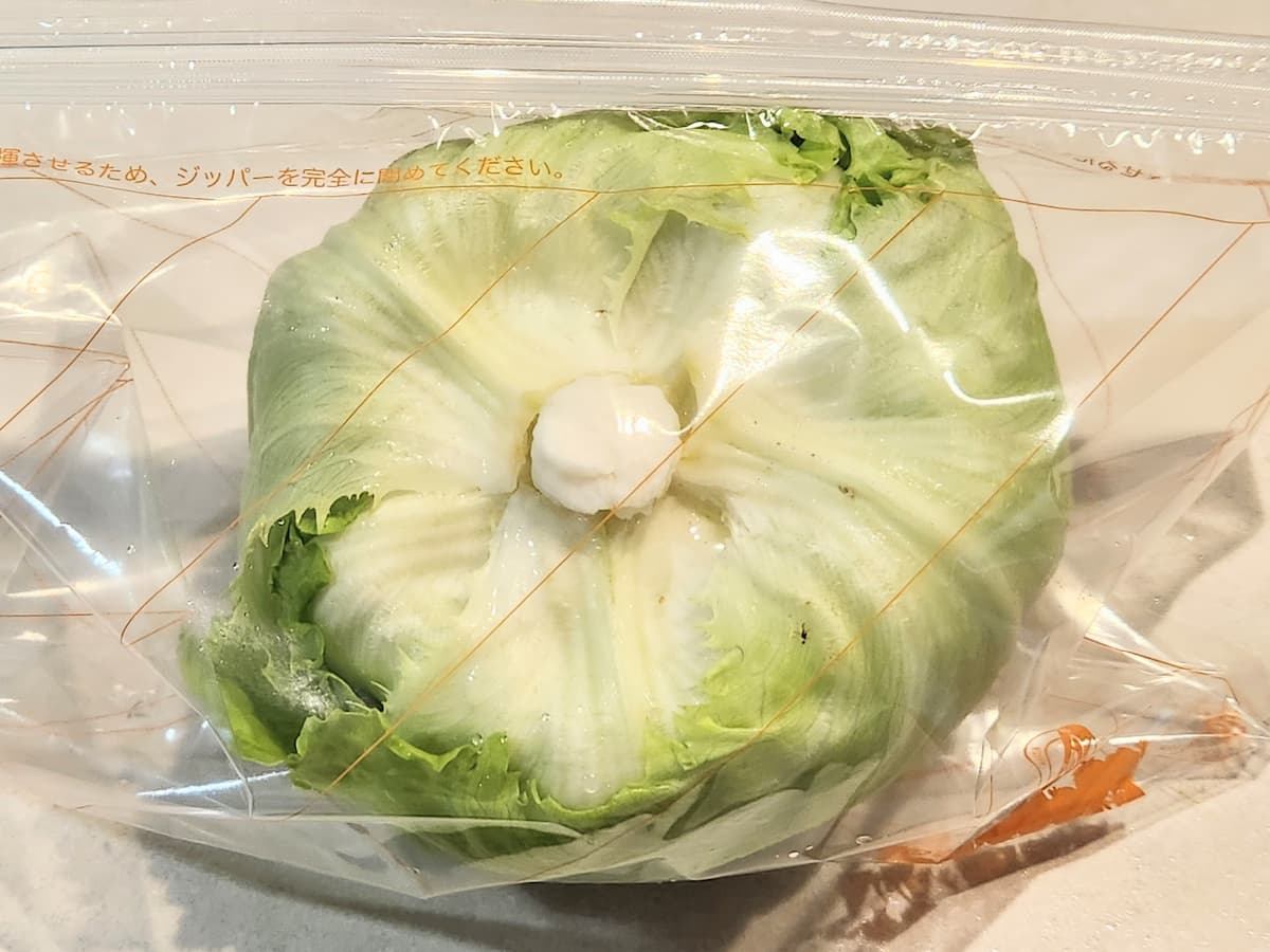 レタスを保存袋に入れる