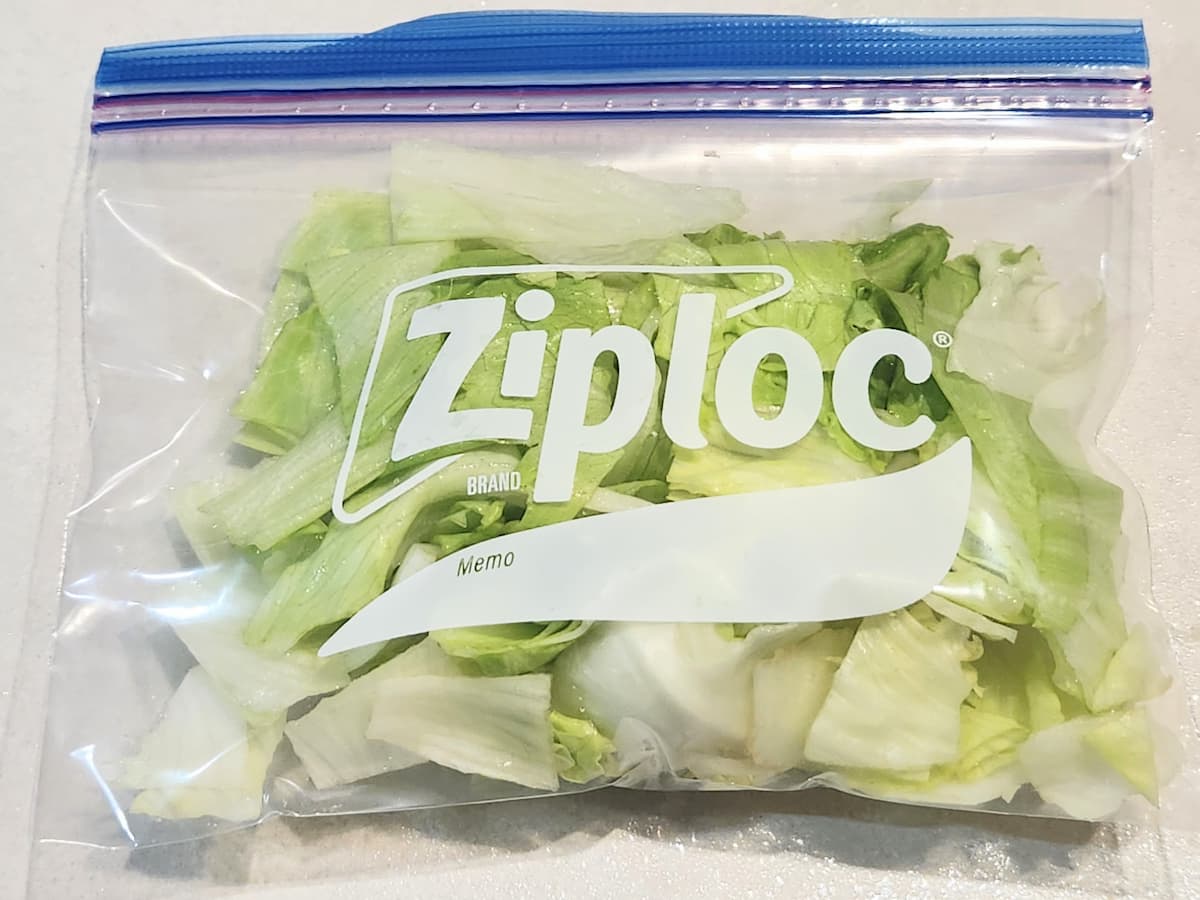 レタスを冷凍保存用の袋に入れる