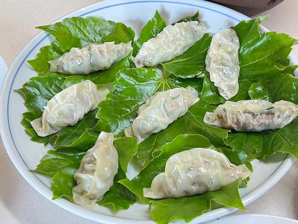 キュアサン(夏餃子)