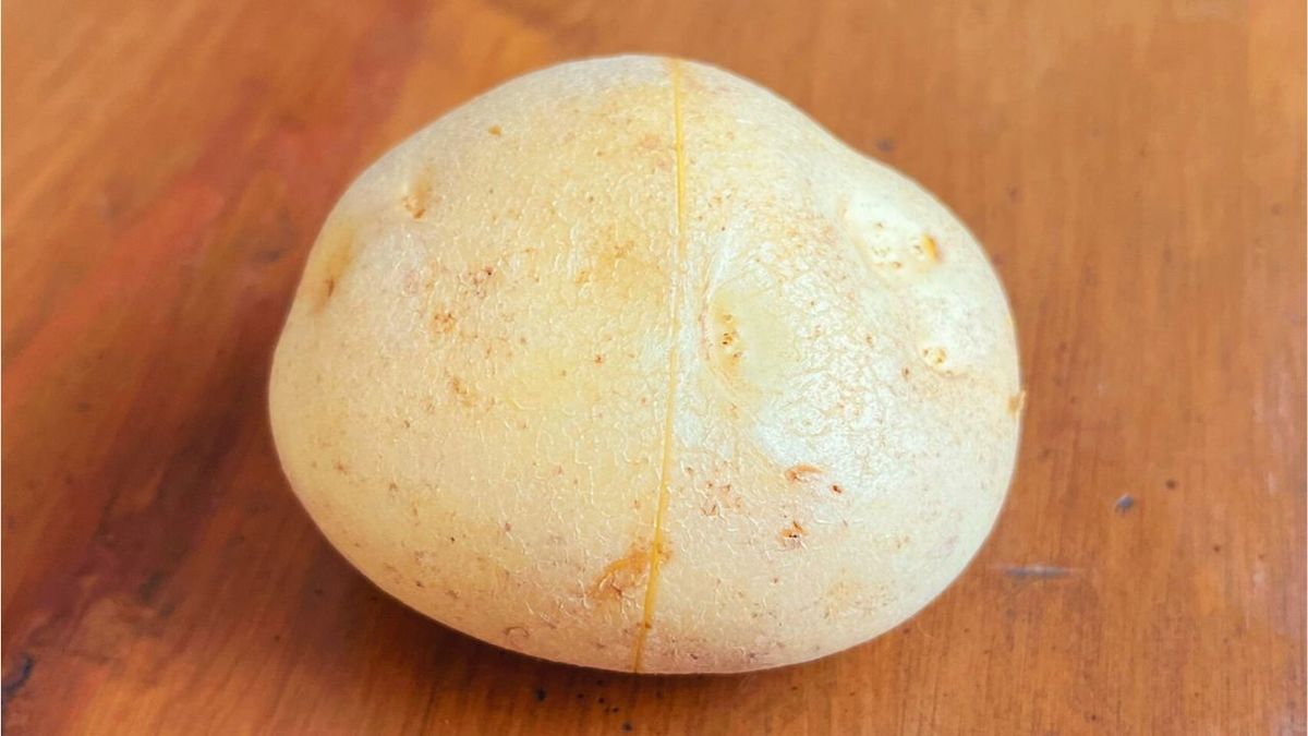 切り込みを入れたもの