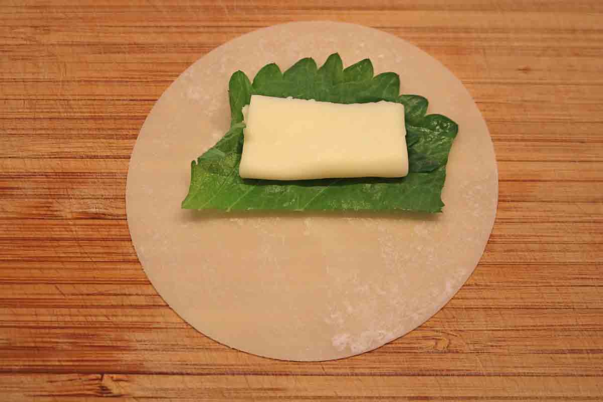 レンコン明太子餃子3