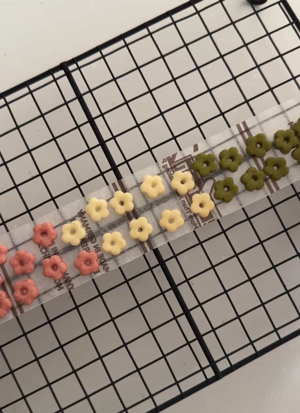 くまのお花クッキー