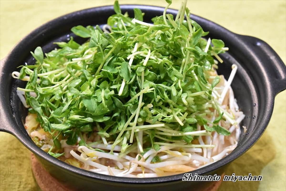 一年中楽しめる！ダイエット中にもおすすめな「もやし×豆苗」鍋レシピ