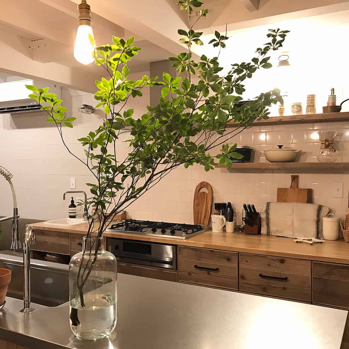 キッチン周りがグッと垢抜ける！「植物」の飾り方7選