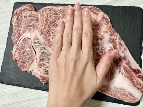 手のひらと比べてこの大きさ
