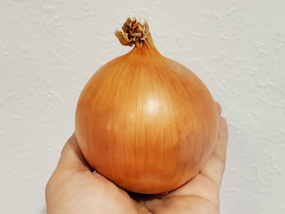 青髪のテツ　玉ねぎ　玉ねぎの重量感をチェック