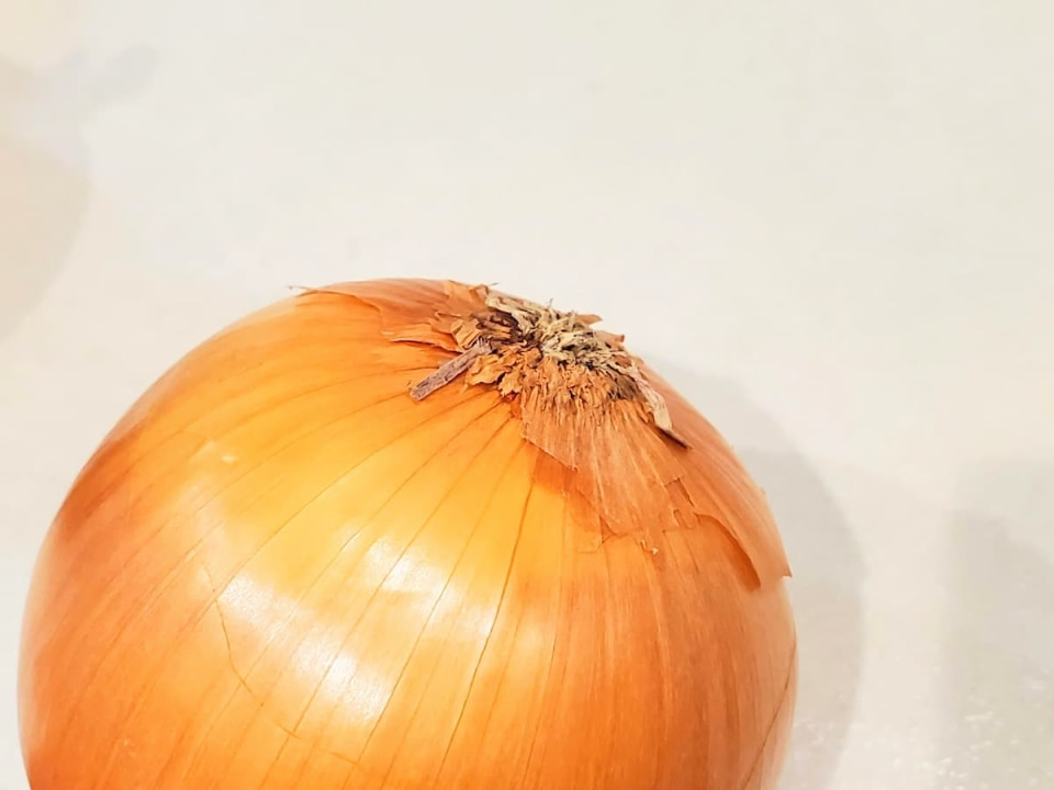 青髪のテツ　玉ねぎ　根や芽が伸びた玉ねぎは鮮度が落ちている