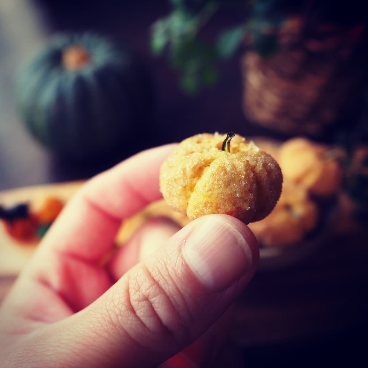 ホットケーキミックスで簡単！ころころかわいい「かぼちゃクッキー」♪