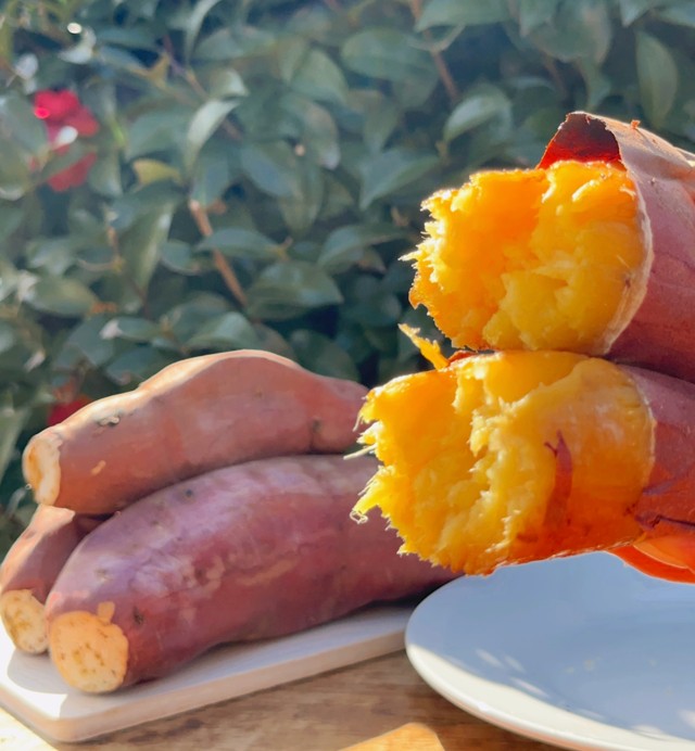 鹿島焼芋　純 1.5kg
