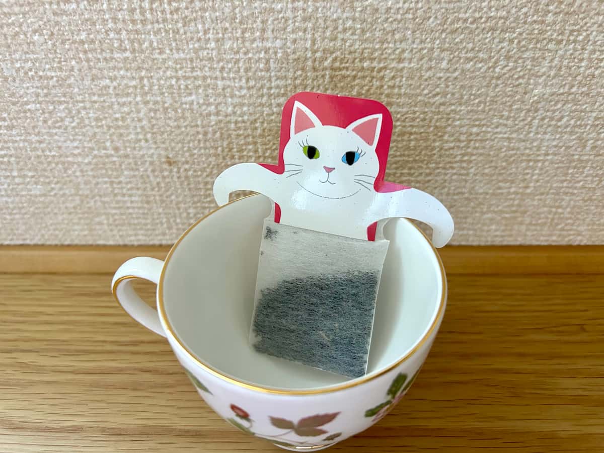ニャンティ４